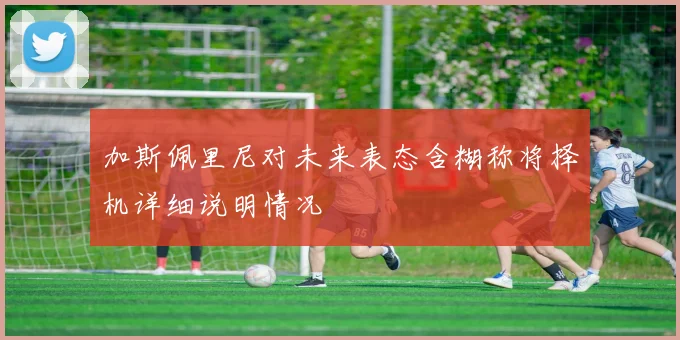 加斯佩里尼对未来表态含糊称将择机详细说明情况